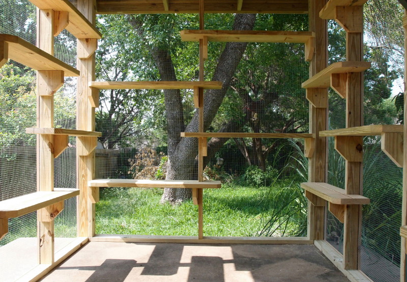 The Cat Carpenter Under The Deck Catio